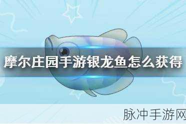 摩尔庄园手游银龙鱼垂钓全攻略