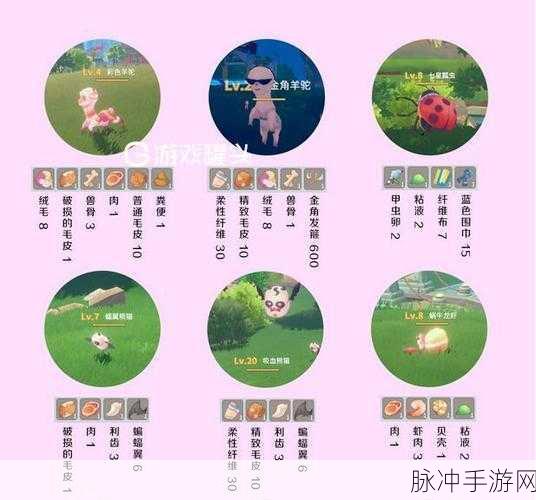 波西亚时光装备获取秘籍，畅玩游戏必备