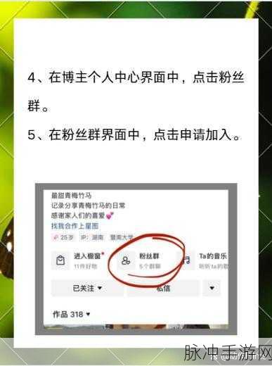 抖音粉丝群建立条件全解析 助力手游发展