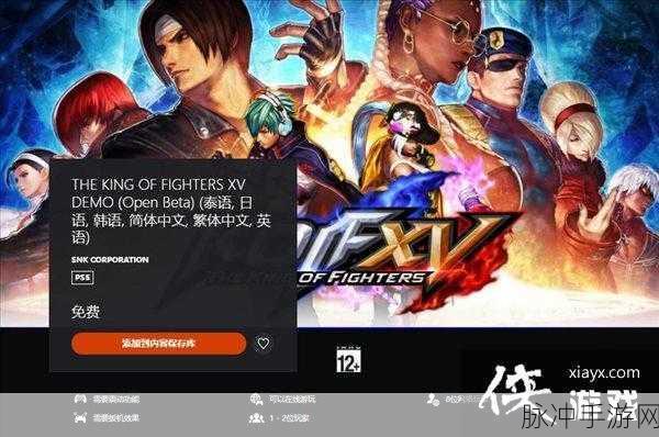 拳皇 15 开放性 Beta 测试，PSN 震撼上线，全新格斗之旅开启