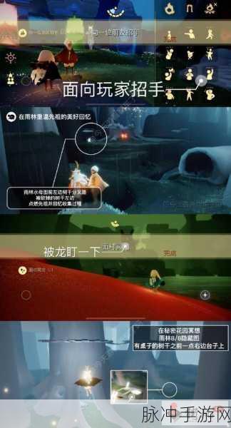 光遇音乐商店挂机秘籍，位置、技巧与数据全解析