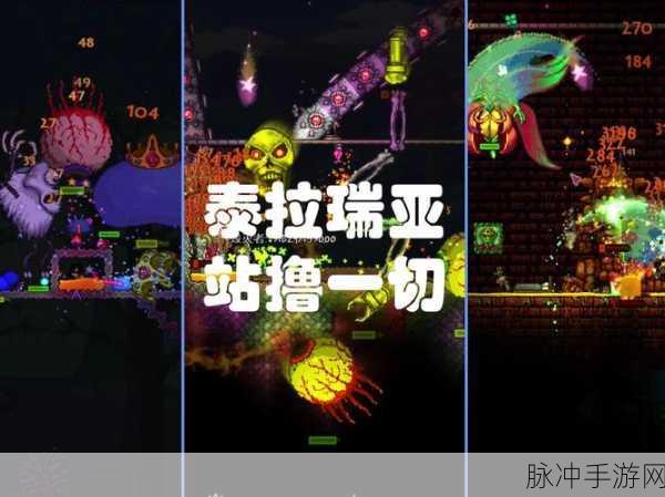 泰拉瑞亚，万花筒与晨星的深度比较分析