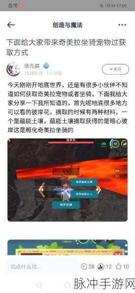 创造与魔法，获取彼岸花的终极秘籍