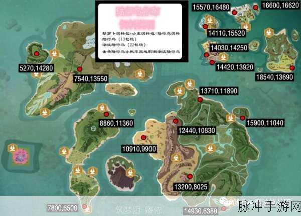 创造与魔法，深度解析奇遇果实神奇效果