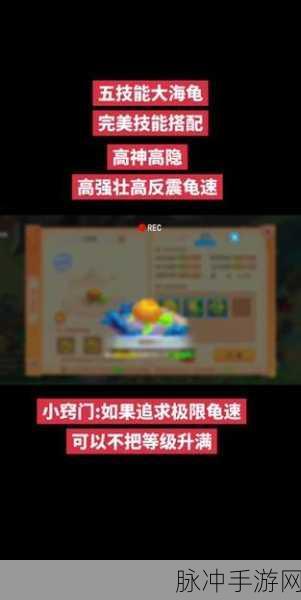 梦幻西游手游，大海龟加点全攻略指南