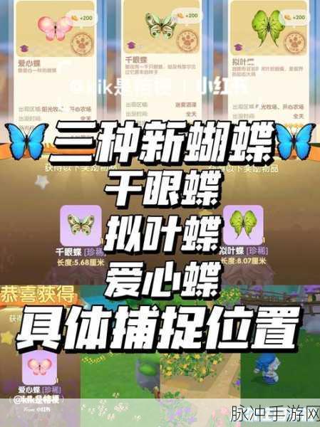 摩尔庄园手游，好友好感度升级秘籍大公开