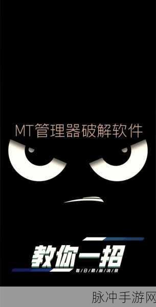 我叫 MT2 新手升级秘籍，全面攻略大揭秘