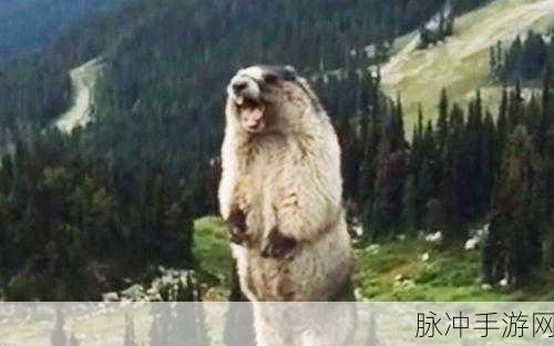 幻塔四鼠兄弟藏匿点全知晓 精准攻略来袭