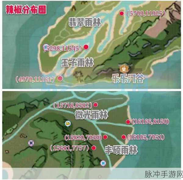创造与魔法彩壳龟刷新位置及捕捉秘籍