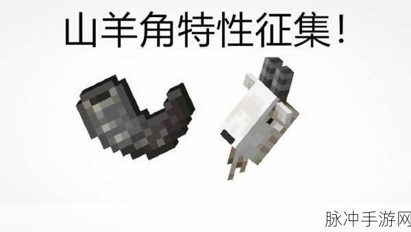 我的世界手游，山羊角沉思用途大揭秘