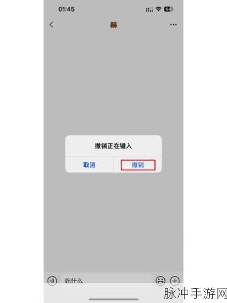iPhone 玩手游的顶级秘籍，技巧全解析