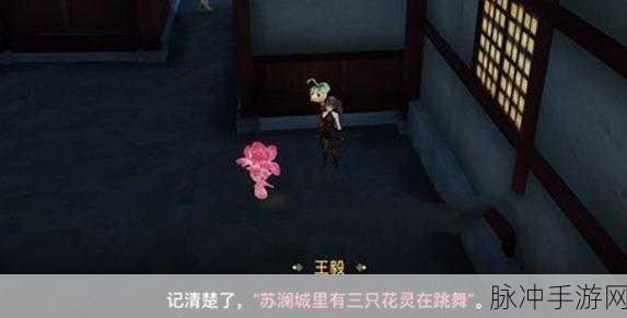 天谕手游神秘货物任务全攻略
