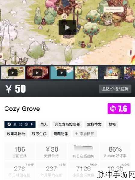 手游秘籍，深度解析购物与游戏的奇妙关联