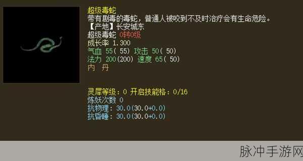 新大话西游2召唤兽装备鉴赏，如何辨别优劣