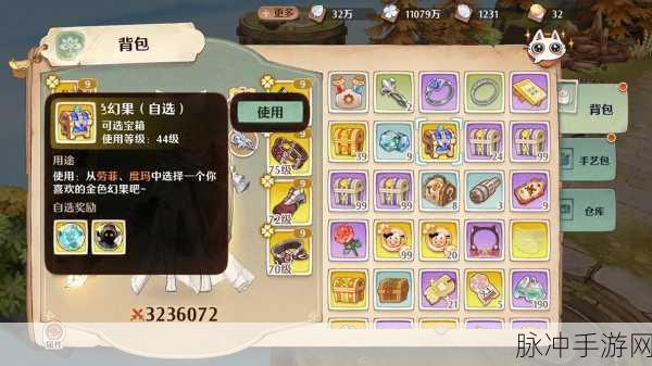 森之国度，探秘装备与服饰的显著差异