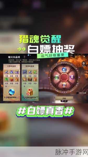 猎魂觉醒戒指洗练用途全解析