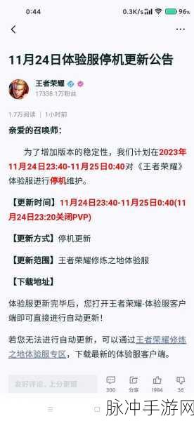 王者荣耀停机更新公告全解析与应对策略
