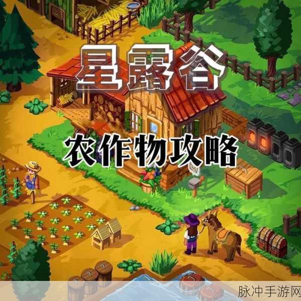 星露谷物语，金星作物种植全攻略