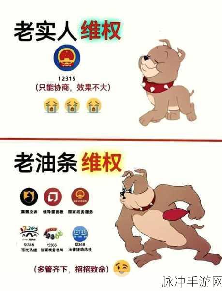 得物手游投诉攻略，全面解析有效投诉方法