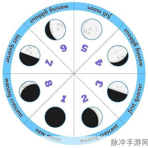 泰拉瑞亚月相全解析，八大月相深度介绍