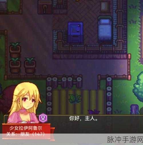 伊洛纳密令使用指南，解锁游戏新体验