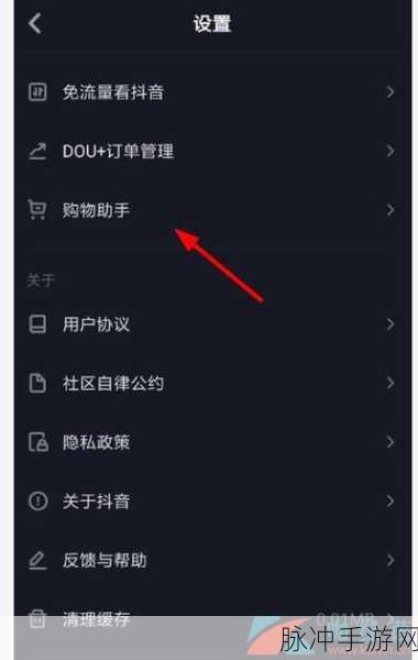 探秘抖音订单查看之法 畅玩手游无忧