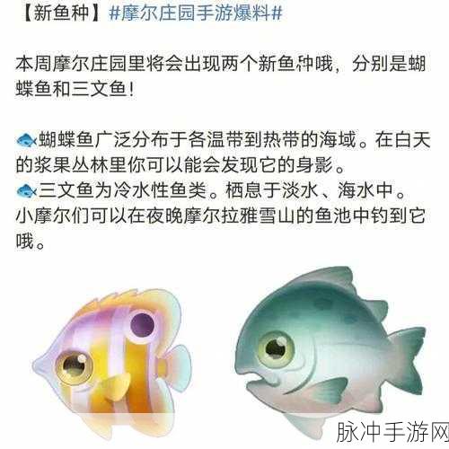 摩尔庄园手游，三文鱼的神奇用途与神秘出没地