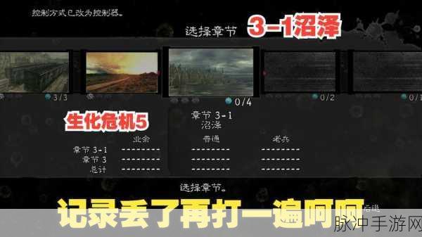 生化危机5存档问题全攻略，手游公司视角的深度解析