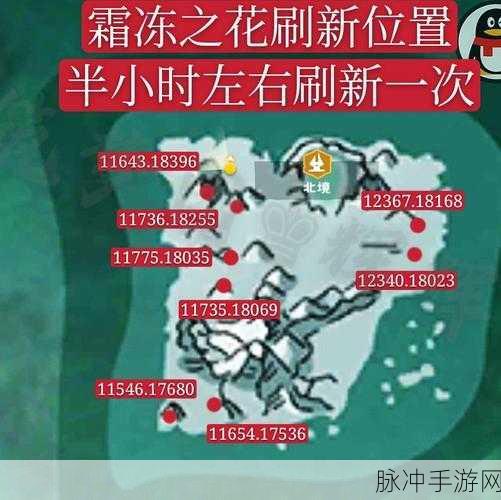 创造与魔法，探寻北境寒冰矿的神秘所在