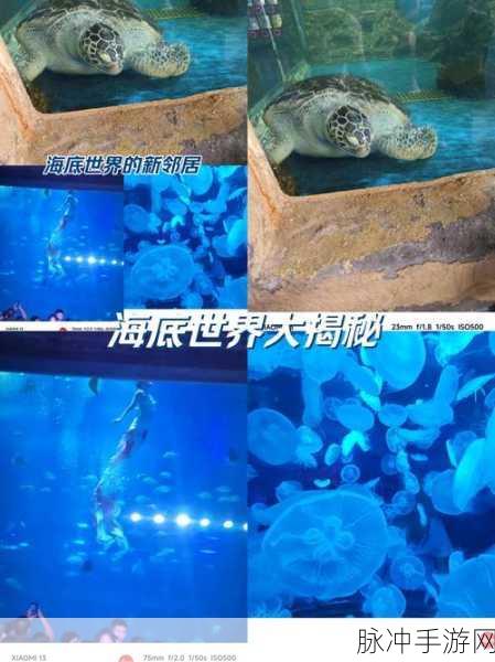 创造与魔法，探索海底世界的奇妙之旅——全面攻略
