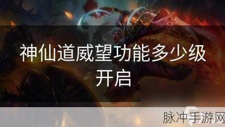 神仙道游戏中炼虚境界解锁等级全面剖析，玩家需达多少级方能踏入虚空之境？
