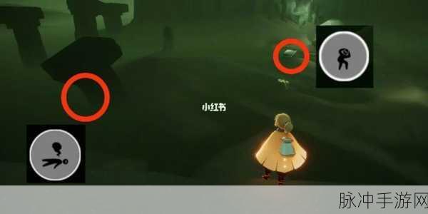 光遇白鸟先祖位置终极指南，不容错过