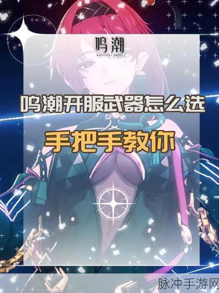 鸣潮，深度解析永续坍缩武器技能属性
