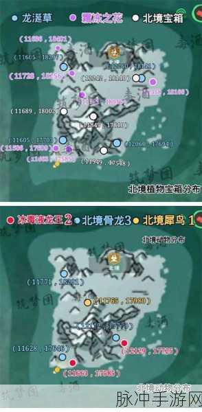 创造与魔法东海石获取攻略，全面详解东海石的获取方法与途径