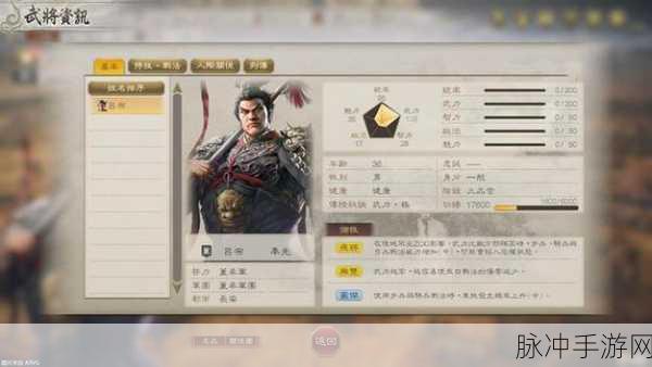 三国志8手游攻略，揭秘哪些武将拥有特殊加成