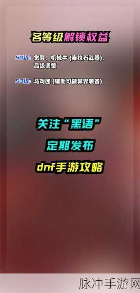 DNF手游组队攻略，解锁并肩作战的无限可能