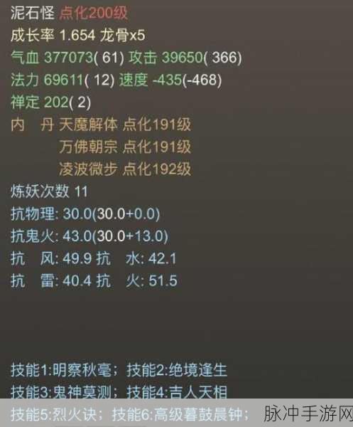 大话西游2手游攻略，全面解析如何获取泥石怪