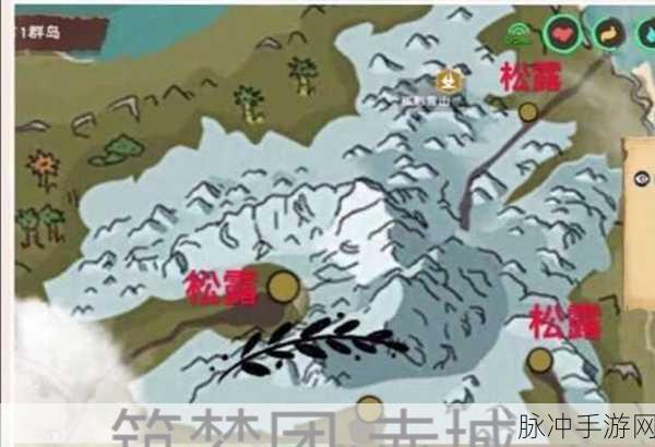 创造与魔法手游攻略，揭秘松露的获取方法与刷新地点