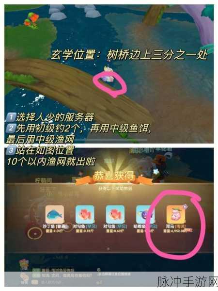 摩尔庄园手游，黑糊糊粥配方全解析