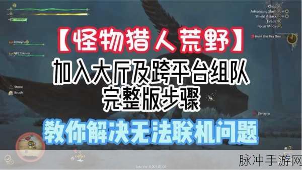怪物猎人世界组队与联机全攻略
