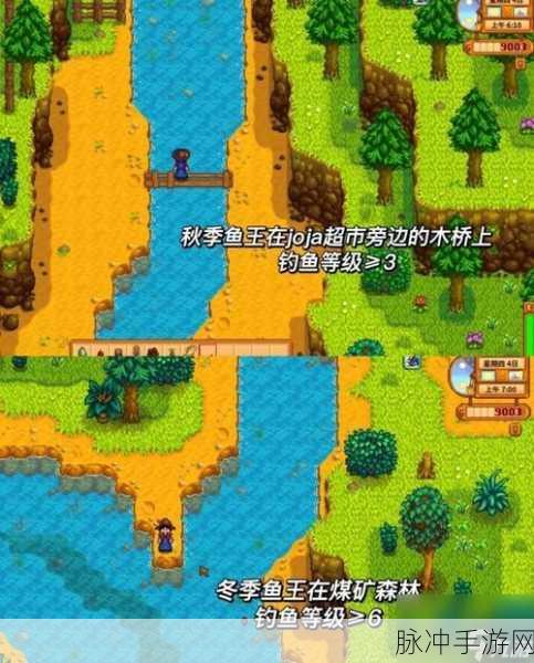 星露谷物语鱼王位置全解析