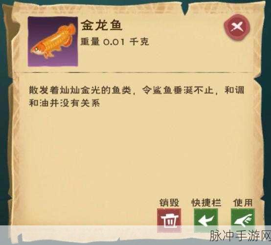 创造与魔法，探寻金龙鱼垂钓秘籍