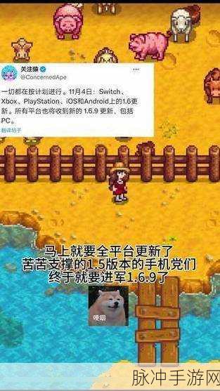 Switch版星露谷物语最新更新内容详解，探索更多农场乐趣