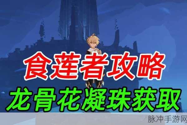 原神龙骨花凝珠重复获取全攻略
