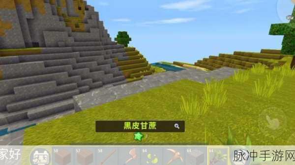 迷你世界甘蔗获取与种植全攻略