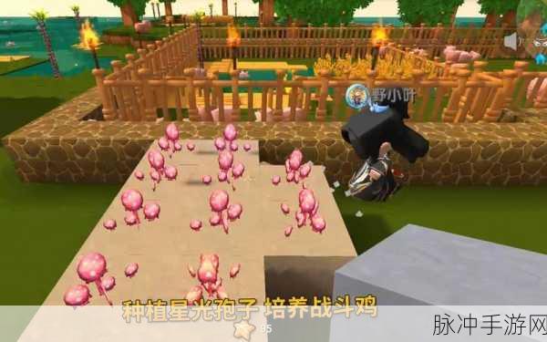 迷你世界鸡繁殖方法全攻略