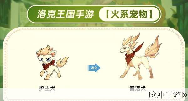 洛克王国手游超进化地点全揭秘