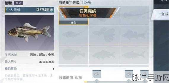 和平精英绿洲世界钓鱼全攻略，掌握技巧，享受垂钓乐趣