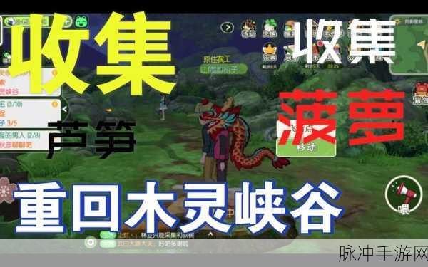 小森生活木灵峡谷衣服穿搭全攻略