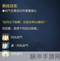 剑灵仙剑斗士职业深度解析与攻略指南